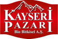 Kayseri Pazarı